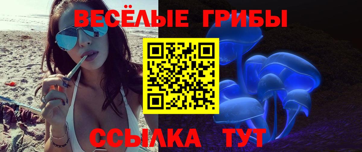 как найти наркотики  Псилоцибиновые грибы мухоморы  Кудымкар  Вход с VPN  Псилоцибиновые грибы прущие грибы 